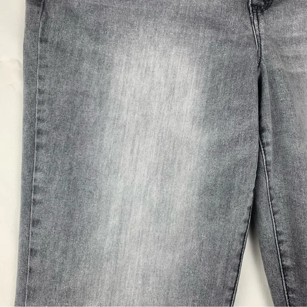 Democracy absolution gray